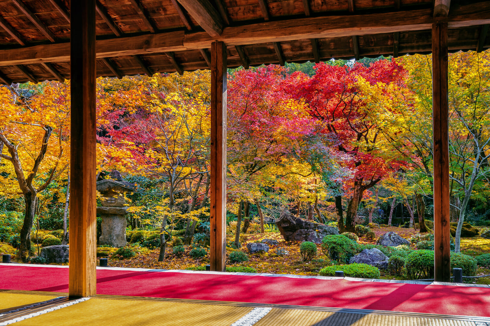 紅葉狩りのシーズンですね！